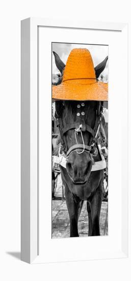 ¡Viva Mexico! Panoramic Collection - Horse with a Light Orange straw Hat-Philippe Hugonnard-Framed Photographic Print