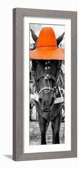 ¡Viva Mexico! Panoramic Collection - Horse with a Orange straw Hat-Philippe Hugonnard-Framed Photographic Print