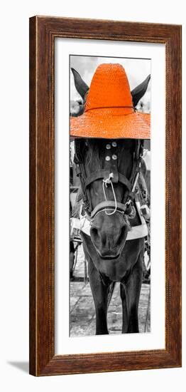 ¡Viva Mexico! Panoramic Collection - Horse with a Orange straw Hat-Philippe Hugonnard-Framed Photographic Print