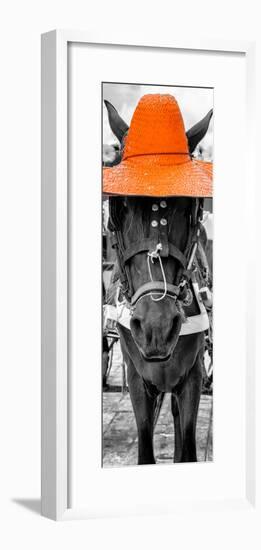 ¡Viva Mexico! Panoramic Collection - Horse with a Orange straw Hat-Philippe Hugonnard-Framed Photographic Print