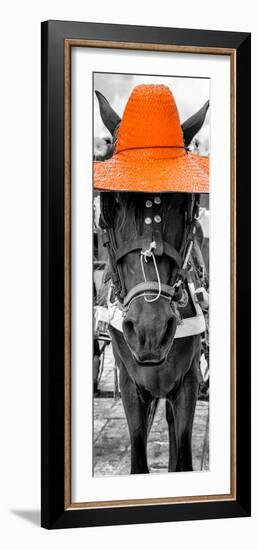 ¡Viva Mexico! Panoramic Collection - Horse with a Orange straw Hat-Philippe Hugonnard-Framed Photographic Print