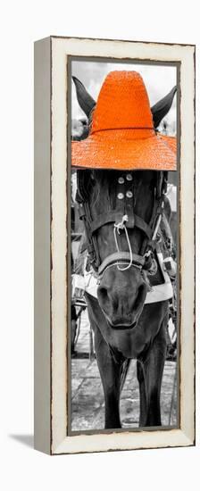 ¡Viva Mexico! Panoramic Collection - Horse with a Orange straw Hat-Philippe Hugonnard-Framed Premier Image Canvas