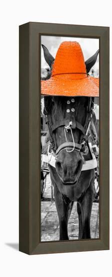 ¡Viva Mexico! Panoramic Collection - Horse with a Orange straw Hat-Philippe Hugonnard-Framed Premier Image Canvas