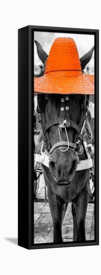 ¡Viva Mexico! Panoramic Collection - Horse with a Orange straw Hat-Philippe Hugonnard-Framed Premier Image Canvas