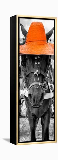 ¡Viva Mexico! Panoramic Collection - Horse with a Orange straw Hat-Philippe Hugonnard-Framed Premier Image Canvas