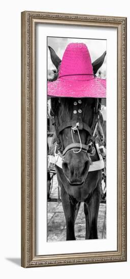 ¡Viva Mexico! Panoramic Collection - Horse with a Pink straw Hat-Philippe Hugonnard-Framed Photographic Print