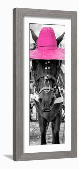 ¡Viva Mexico! Panoramic Collection - Horse with a Pink straw Hat-Philippe Hugonnard-Framed Photographic Print