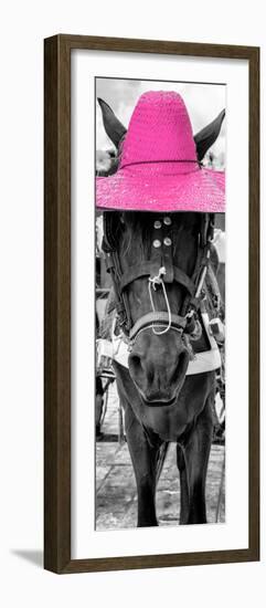 ¡Viva Mexico! Panoramic Collection - Horse with a Pink straw Hat-Philippe Hugonnard-Framed Photographic Print