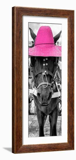 ¡Viva Mexico! Panoramic Collection - Horse with a Pink straw Hat-Philippe Hugonnard-Framed Photographic Print