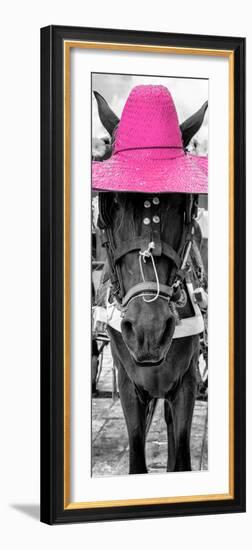 ¡Viva Mexico! Panoramic Collection - Horse with a Pink straw Hat-Philippe Hugonnard-Framed Photographic Print