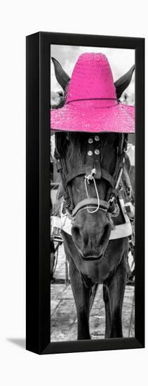 ¡Viva Mexico! Panoramic Collection - Horse with a Pink straw Hat-Philippe Hugonnard-Framed Premier Image Canvas