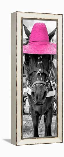 ¡Viva Mexico! Panoramic Collection - Horse with a Pink straw Hat-Philippe Hugonnard-Framed Premier Image Canvas