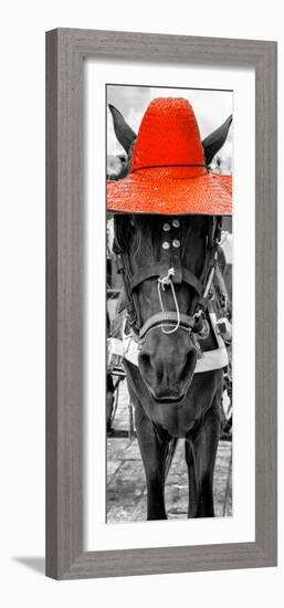 ¡Viva Mexico! Panoramic Collection - Horse with a Red straw Hat-Philippe Hugonnard-Framed Photographic Print