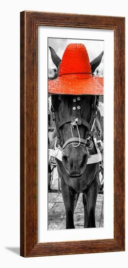 ¡Viva Mexico! Panoramic Collection - Horse with a Red straw Hat-Philippe Hugonnard-Framed Photographic Print