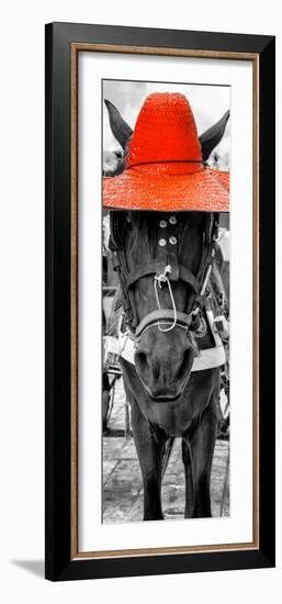 ¡Viva Mexico! Panoramic Collection - Horse with a Red straw Hat-Philippe Hugonnard-Framed Photographic Print