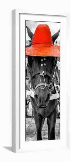 ¡Viva Mexico! Panoramic Collection - Horse with a Red straw Hat-Philippe Hugonnard-Framed Photographic Print