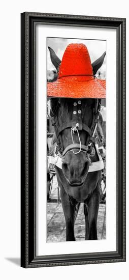 ¡Viva Mexico! Panoramic Collection - Horse with a Red straw Hat-Philippe Hugonnard-Framed Photographic Print