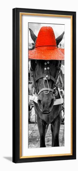 ¡Viva Mexico! Panoramic Collection - Horse with a Red straw Hat-Philippe Hugonnard-Framed Photographic Print