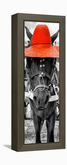 ¡Viva Mexico! Panoramic Collection - Horse with a Red straw Hat-Philippe Hugonnard-Framed Premier Image Canvas