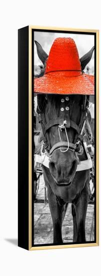 ¡Viva Mexico! Panoramic Collection - Horse with a Red straw Hat-Philippe Hugonnard-Framed Premier Image Canvas