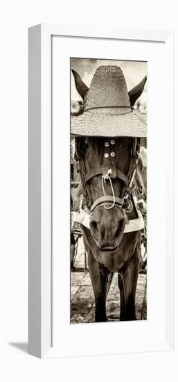 ¡Viva Mexico! Panoramic Collection - Horse with a straw Hat-Philippe Hugonnard-Framed Photographic Print