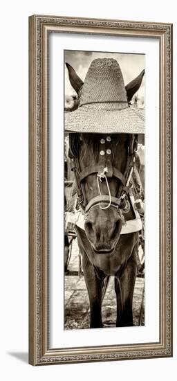 ¡Viva Mexico! Panoramic Collection - Horse with a straw Hat-Philippe Hugonnard-Framed Photographic Print