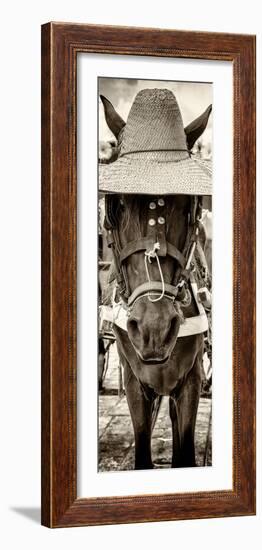 ¡Viva Mexico! Panoramic Collection - Horse with a straw Hat-Philippe Hugonnard-Framed Photographic Print