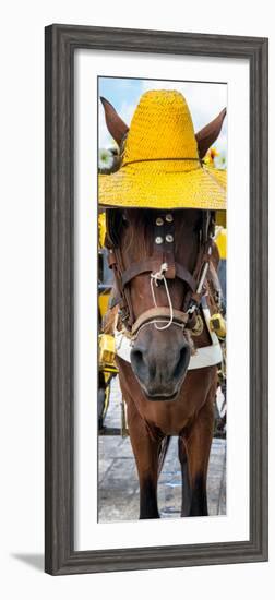 ¡Viva Mexico! Panoramic Collection - Horse with a straw Hat-Philippe Hugonnard-Framed Photographic Print