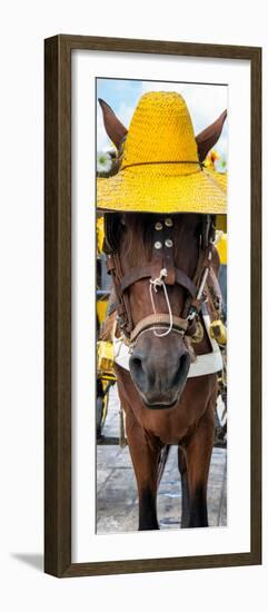 ¡Viva Mexico! Panoramic Collection - Horse with a straw Hat-Philippe Hugonnard-Framed Photographic Print