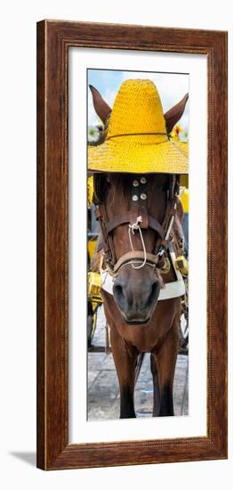 ¡Viva Mexico! Panoramic Collection - Horse with a straw Hat-Philippe Hugonnard-Framed Photographic Print