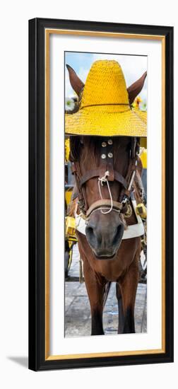 ¡Viva Mexico! Panoramic Collection - Horse with a straw Hat-Philippe Hugonnard-Framed Photographic Print