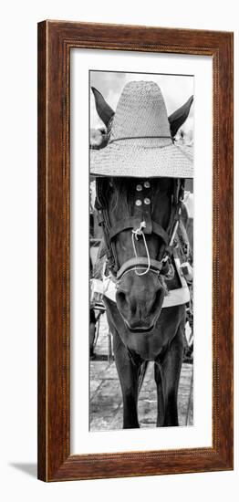 ¡Viva Mexico! Panoramic Collection - Horse with a straw Hat-Philippe Hugonnard-Framed Photographic Print