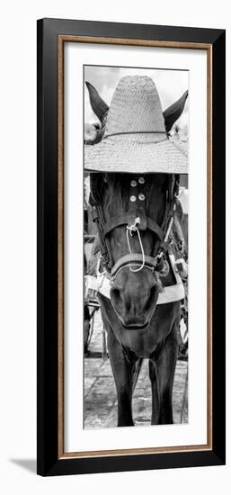 ¡Viva Mexico! Panoramic Collection - Horse with a straw Hat-Philippe Hugonnard-Framed Photographic Print