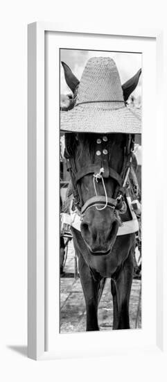 ¡Viva Mexico! Panoramic Collection - Horse with a straw Hat-Philippe Hugonnard-Framed Photographic Print