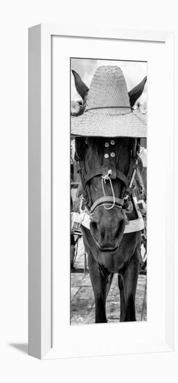 ¡Viva Mexico! Panoramic Collection - Horse with a straw Hat-Philippe Hugonnard-Framed Photographic Print