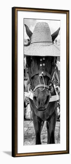 ¡Viva Mexico! Panoramic Collection - Horse with a straw Hat-Philippe Hugonnard-Framed Photographic Print