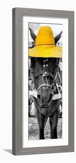 ¡Viva Mexico! Panoramic Collection - Horse with a Yellow straw Hat-Philippe Hugonnard-Framed Photographic Print