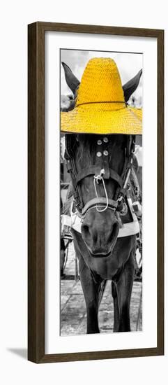 ¡Viva Mexico! Panoramic Collection - Horse with a Yellow straw Hat-Philippe Hugonnard-Framed Photographic Print