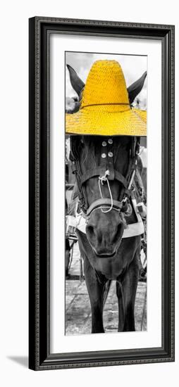 ¡Viva Mexico! Panoramic Collection - Horse with a Yellow straw Hat-Philippe Hugonnard-Framed Photographic Print