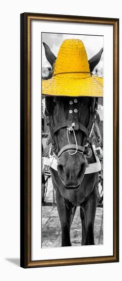 ¡Viva Mexico! Panoramic Collection - Horse with a Yellow straw Hat-Philippe Hugonnard-Framed Photographic Print