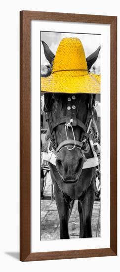 ¡Viva Mexico! Panoramic Collection - Horse with a Yellow straw Hat-Philippe Hugonnard-Framed Photographic Print