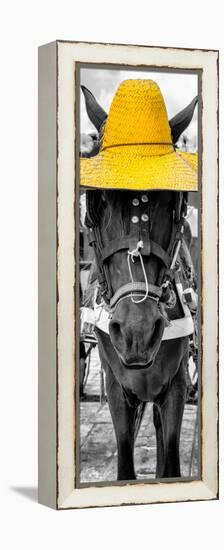 ¡Viva Mexico! Panoramic Collection - Horse with a Yellow straw Hat-Philippe Hugonnard-Framed Premier Image Canvas