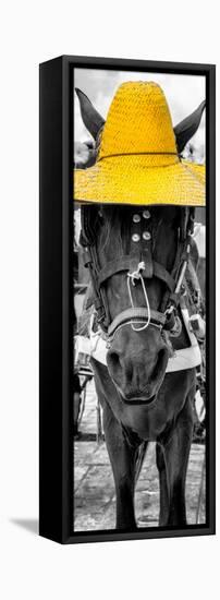 ¡Viva Mexico! Panoramic Collection - Horse with a Yellow straw Hat-Philippe Hugonnard-Framed Premier Image Canvas