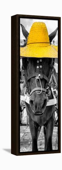 ¡Viva Mexico! Panoramic Collection - Horse with a Yellow straw Hat-Philippe Hugonnard-Framed Premier Image Canvas