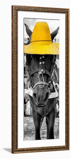 ¡Viva Mexico! Panoramic Collection - Horse with a Yellow straw Hat-Philippe Hugonnard-Framed Photographic Print