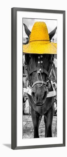 ¡Viva Mexico! Panoramic Collection - Horse with a Yellow straw Hat-Philippe Hugonnard-Framed Photographic Print