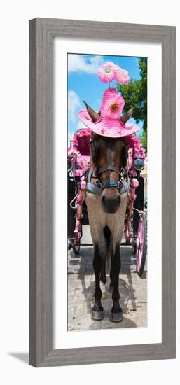 ¡Viva Mexico! Panoramic Collection - Horse with Pink Hat II-Philippe Hugonnard-Framed Photographic Print