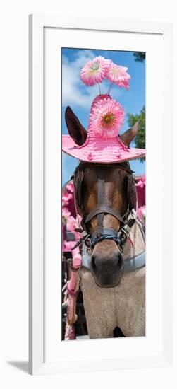 ¡Viva Mexico! Panoramic Collection - Horse with Pink Hat-Philippe Hugonnard-Framed Photographic Print