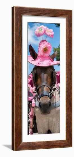 ¡Viva Mexico! Panoramic Collection - Horse with Pink Hat-Philippe Hugonnard-Framed Photographic Print