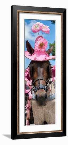 ¡Viva Mexico! Panoramic Collection - Horse with Pink Hat-Philippe Hugonnard-Framed Photographic Print